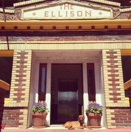 Ellison Suites Los Angeles California — Property