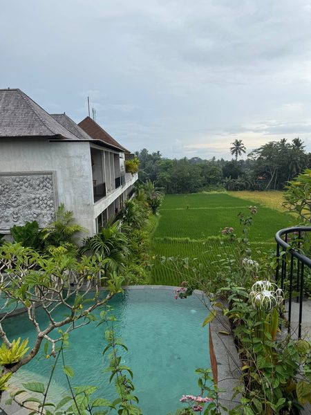 Emana Akatara — Property
