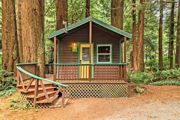 Emerald Forest Cabins RV — Property