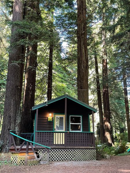 Emerald Forest Cabins RV — Property