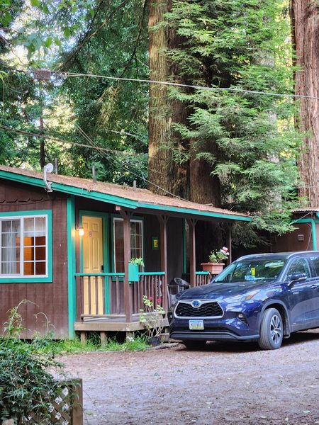 Emerald Forest Cabins RV — Property