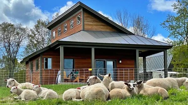 Fat Sheep Farm Cabins — Property