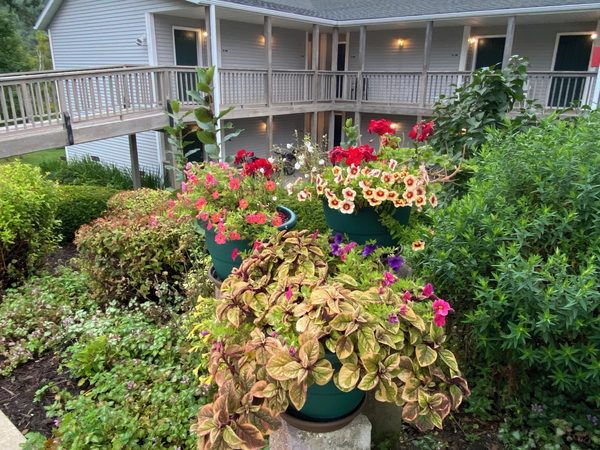 Green Gables Inn — Property