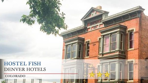 Hostel Fish — Property