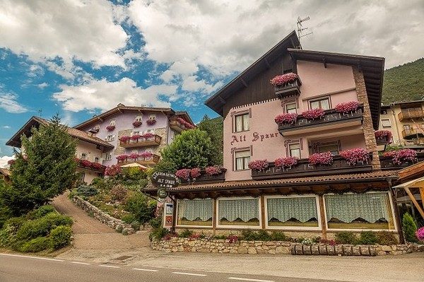 Hotel Alt Spaur — Property
