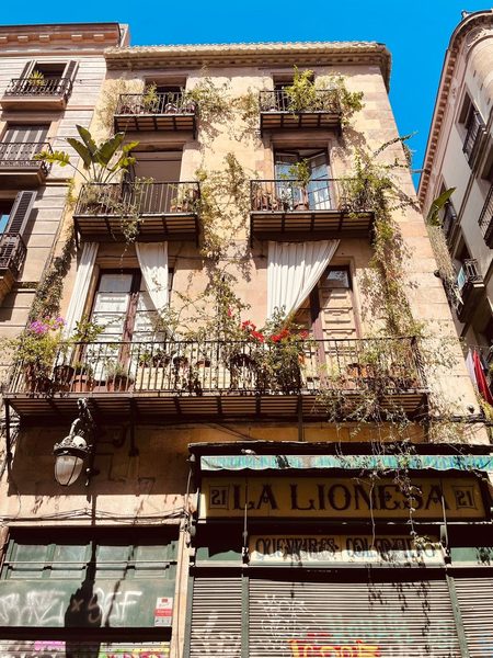 Hotel Ambit Barcelona Barcelona Catalonia — Property
