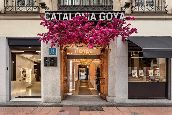 Hotel Catalonia Goya — Property