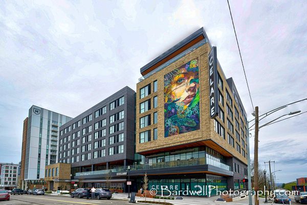 Hotel Celare Cincinnati Midtown a Tribute Portfolio Hotel — Property