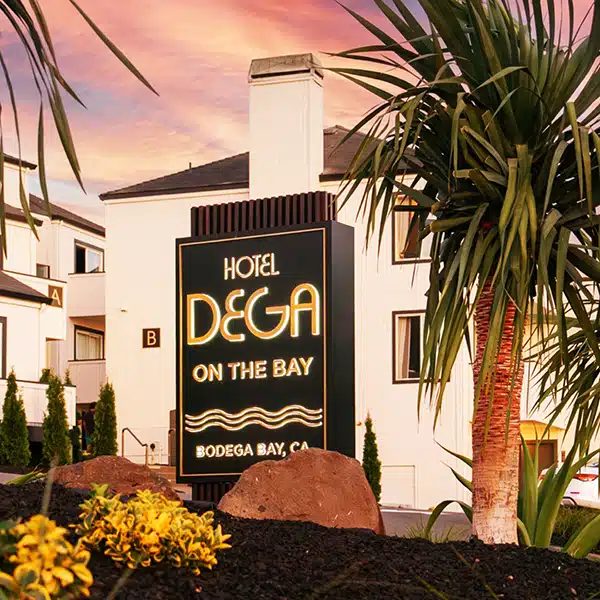 Hotel Dega — Property