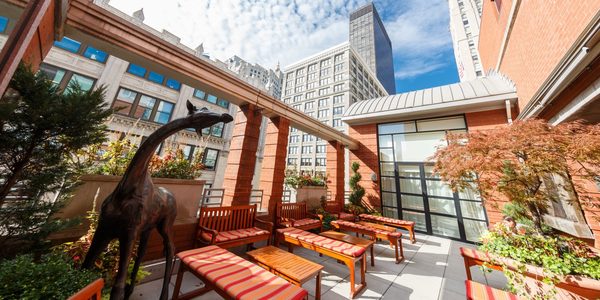 Hotel Giraffe by Library Hotel Collection — Property