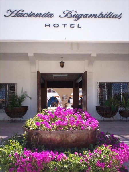 Hotel Hacienda Bugambilias — Property