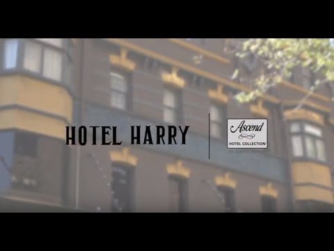 Hotel Harry An Ascend Collection Hotel — Property