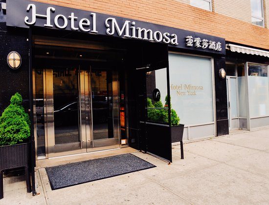 Hotel Mimosa New York — Property