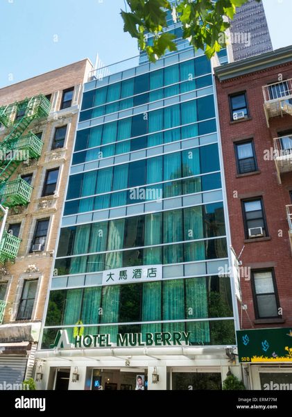 Hotel Mulberry — Property