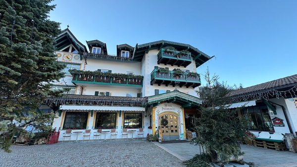 Hotel Piedibosco — Property