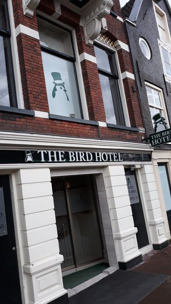 Hotel The Bird — Property