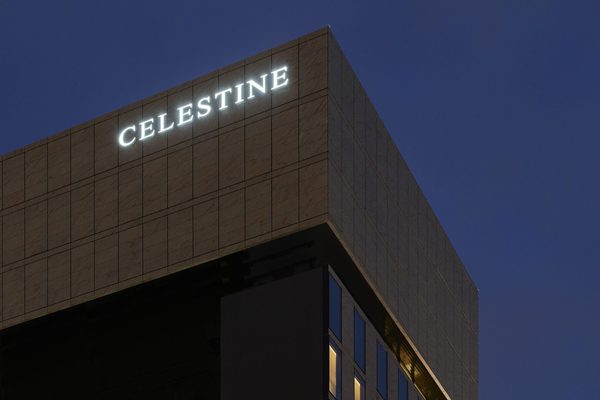 HOTEL THE CELESTINE GINZA — Property