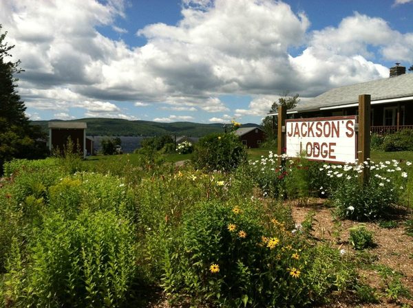 Jackson s Lodge — Property