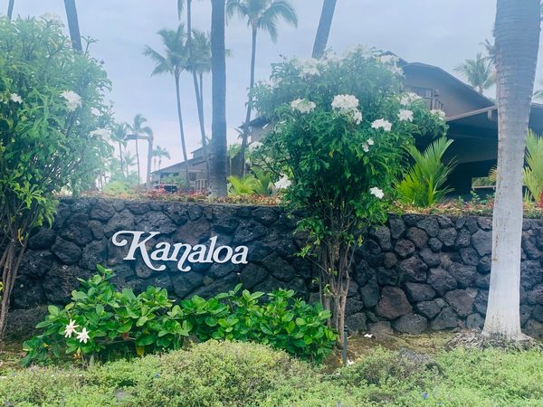 Kanaloa at Kona — Property