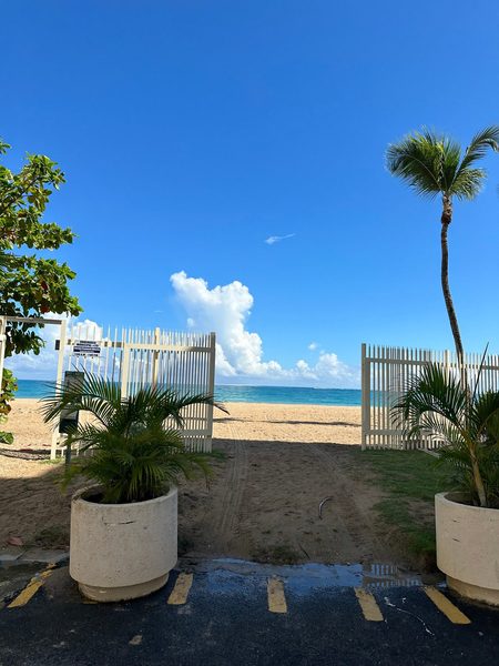 La Botanica Hotel — Property