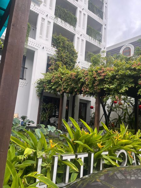 Little Oasis — Property