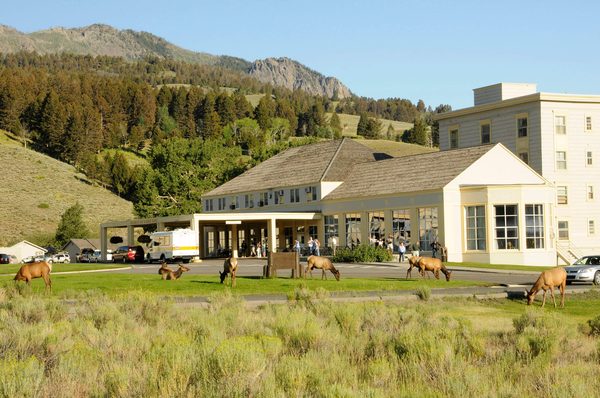 Mammoth Hot Springs Hotel Cabins — Property