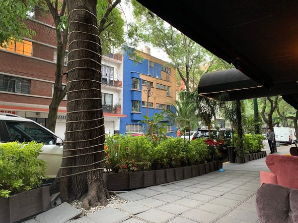 Maria Condesa Boutique Hotel — Property