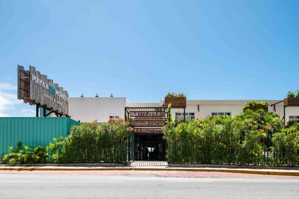 Mayan Monkey Cancun Best Hotel — Property
