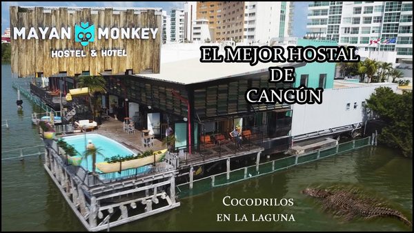 Mayan Monkey Cancun Best Hotel — Property