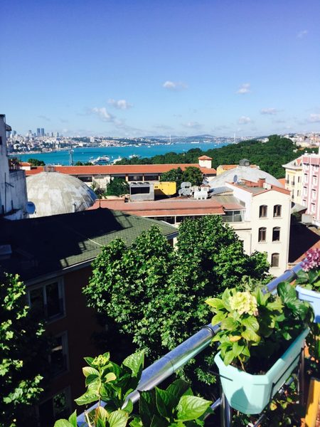 Meddusa Hotel Istanbul — Property