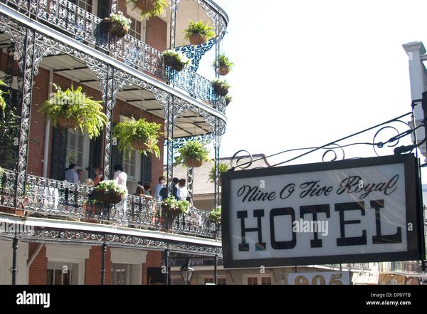Nine O Five Royal Hotel — Property