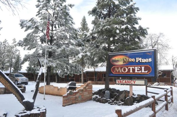 NINE PINES MOTEL — Property