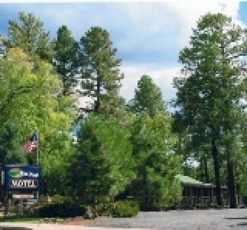 NINE PINES MOTEL — Property