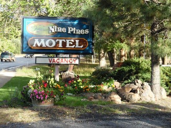 NINE PINES MOTEL — Property