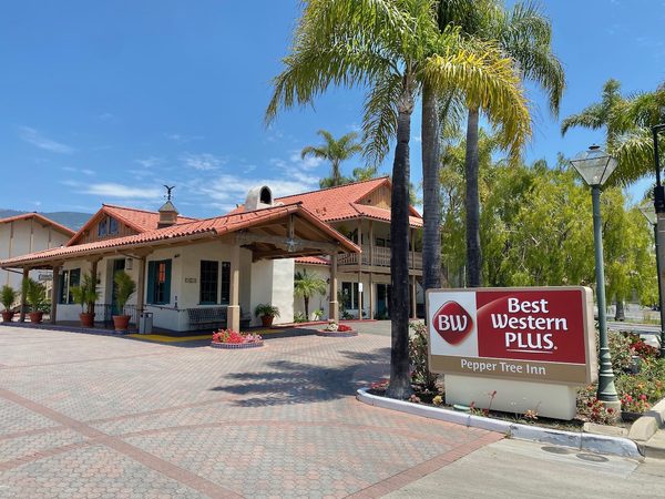 Pepper Tree Inn — Property