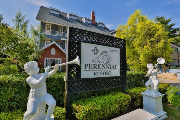 Perennial Resort — Property