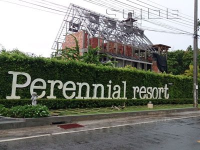 Perennial Resort — Property