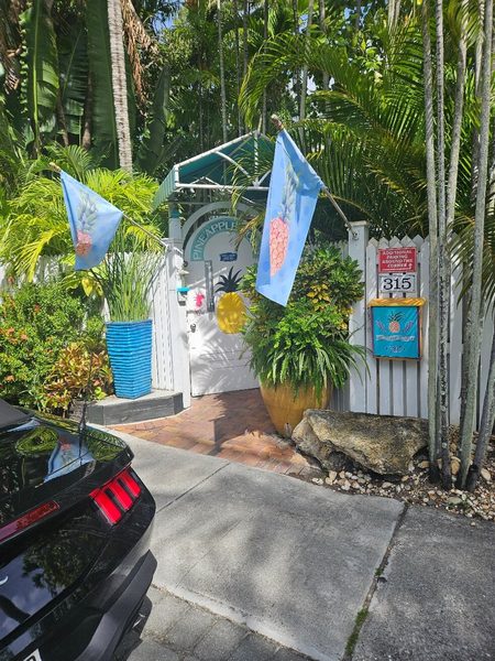 Pineapple Point Guest House and Resort — Property