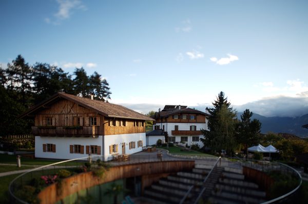 Pineta Nature Resort — Property