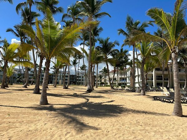 Playa Palmera Beach Resort — Property