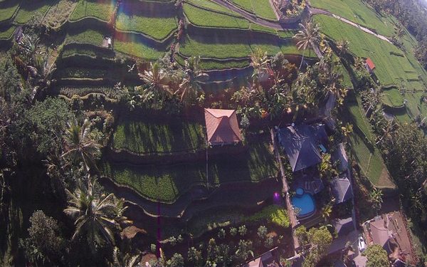 Pondok Sebatu Villa — Property