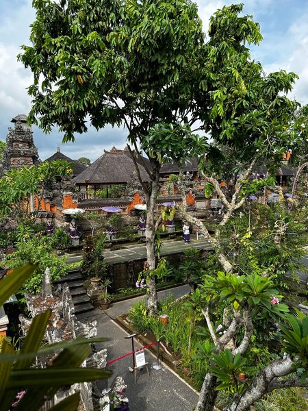 Puri Saraswati Dijiwa Ubud — Property