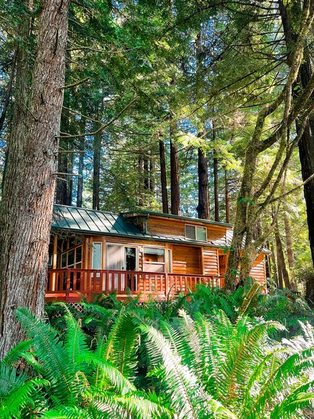 Ramblin Redwoods Campground and RV Park — Property