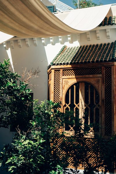 Riad Botanica — Property