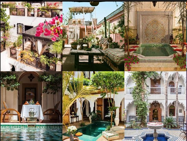 Riad Botanica — Property