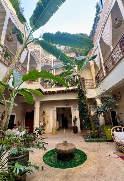 Riad Chambers D amis — Property