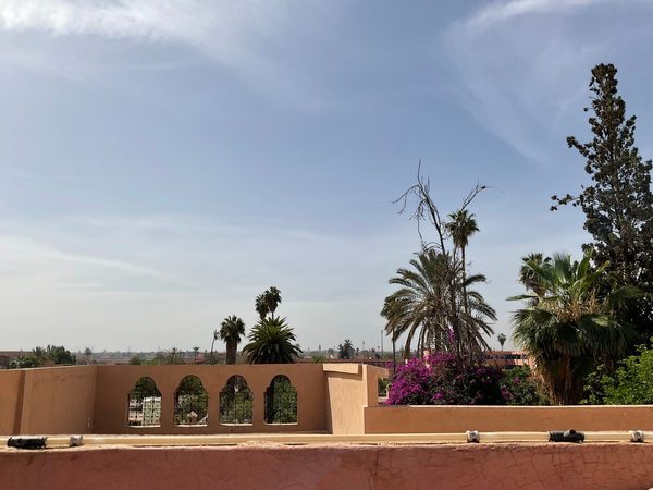 Riad l Oiseau du Paradis — Property