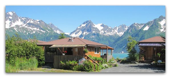 Rustic Roots Cabins — Property