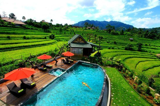 Sawah Indah Villa — Property