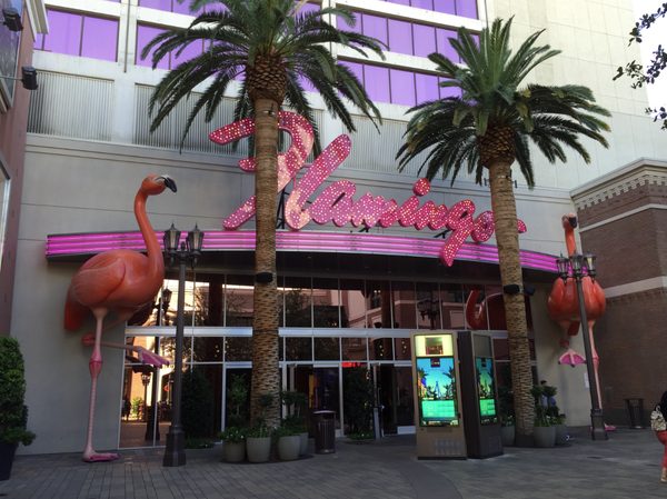Siegel Select Flamingo Las Vegas Nevada — Property